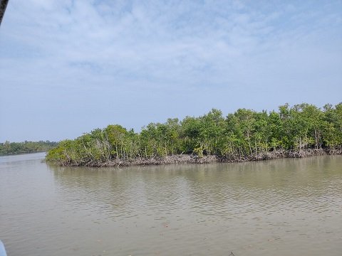 sundarban-eco-tourism